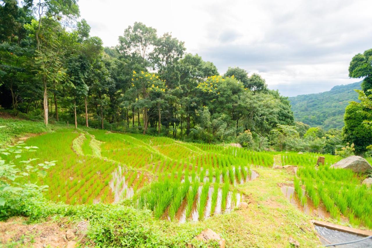 Villa Le Maas Tota Koslanda Ngoại thất bức ảnh
